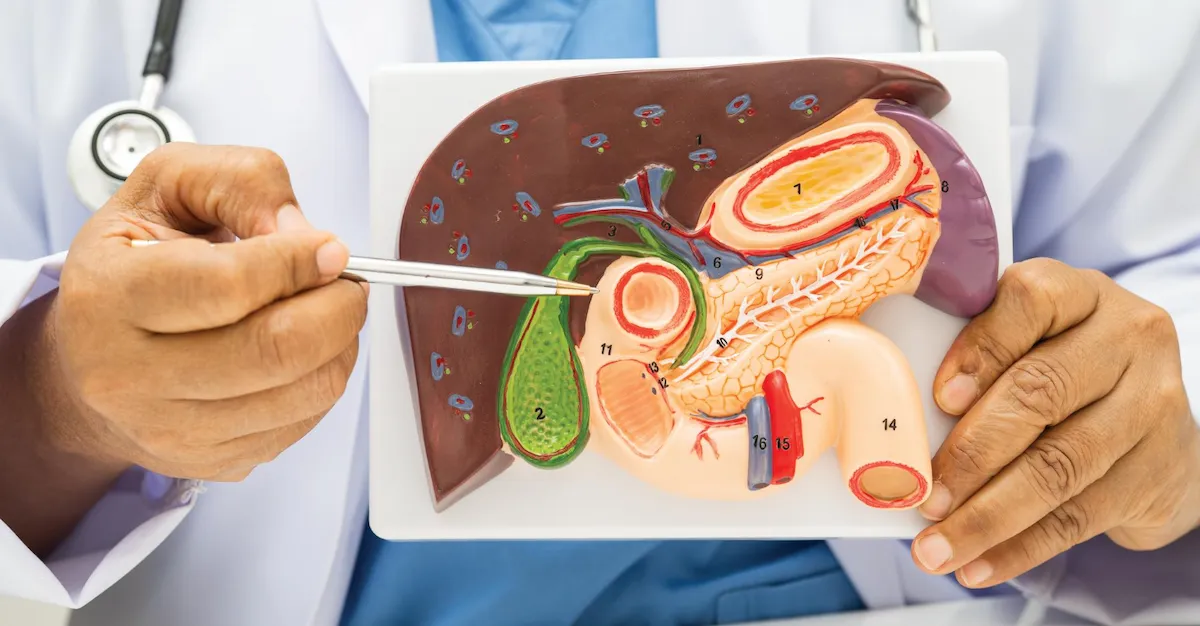 GI Oncology (Gastrointestinal Cancer Surgery)