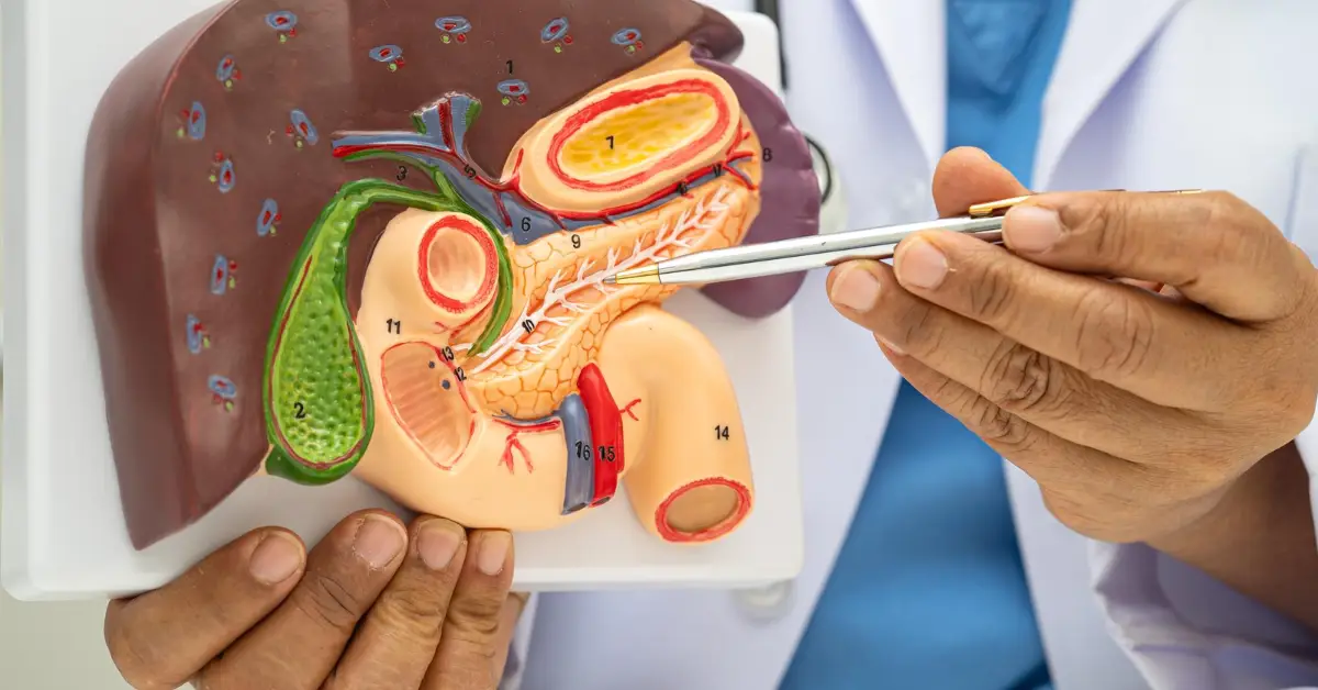 Gallbladder Cancer Surgery in Chennai