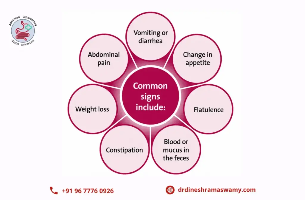 Early Signs of Digestive Disorders