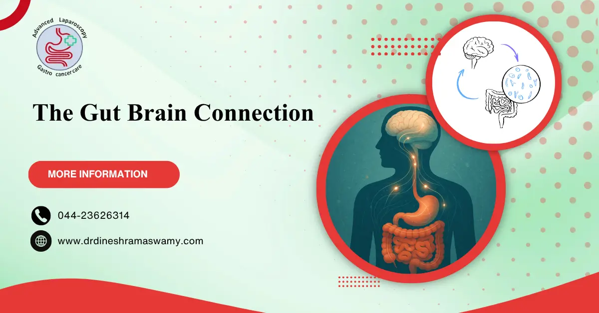 The Gut-Brain Connection