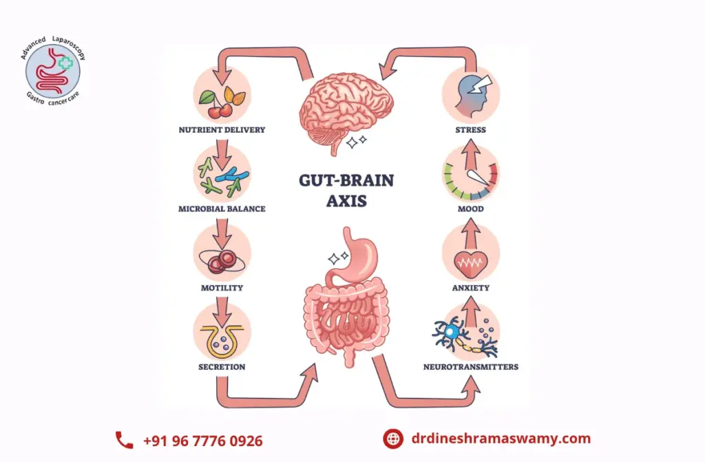 The Gut-Brain Connection