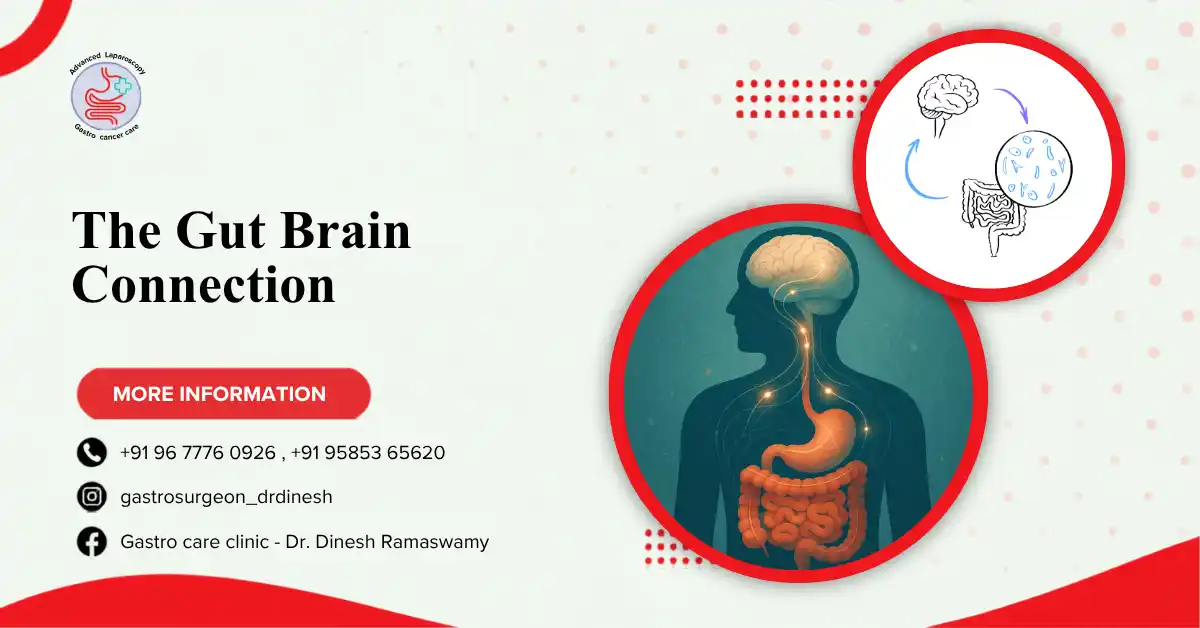 The Gut Brain Connection